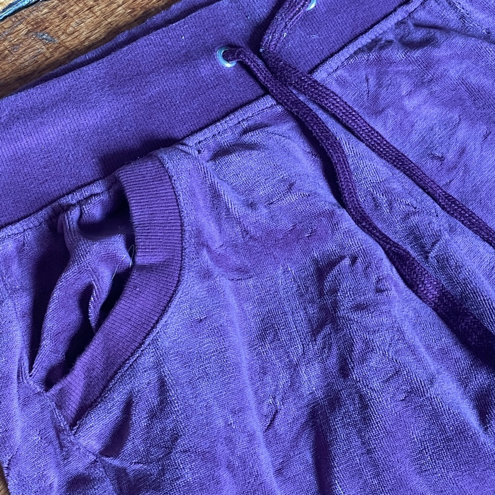 Y2K Low Waist Purple Velour Sweatpants (size small)